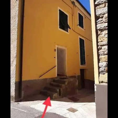 Daire Tra Gli Ulivi