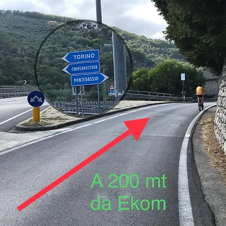 Tra Gli Ulivi *