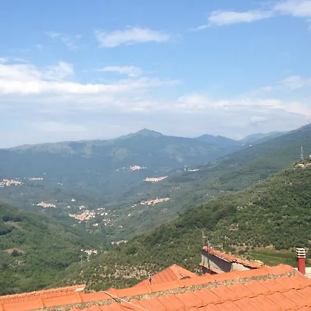 Daire Tra Gli Ulivi *
