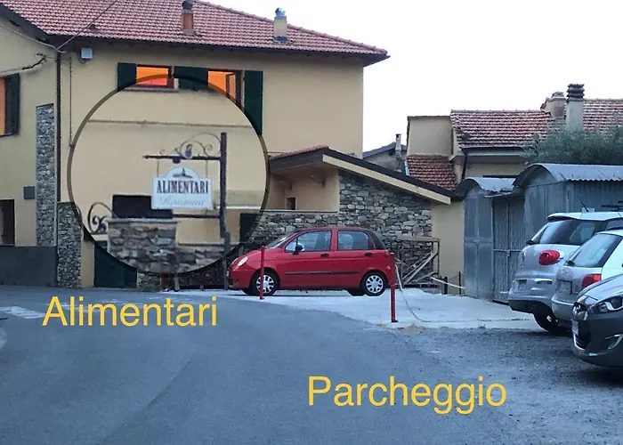 Tra Gli Ulivi *