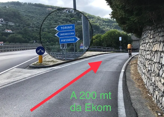 Tra Gli Ulivi *