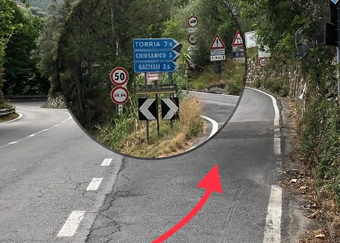 Tra Gli Ulivi *